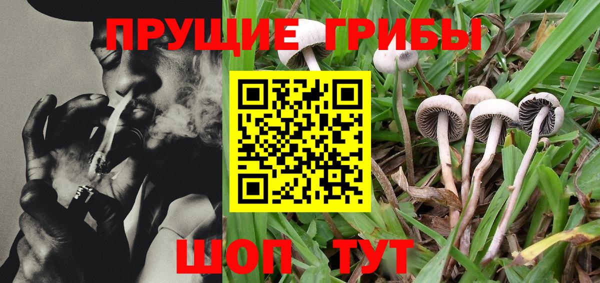 Ипатово  где можно купить   Вход с VPN  Галлюциногенные грибы Psilocybine cubensis  Галлюциногенные грибы прущие грибы 